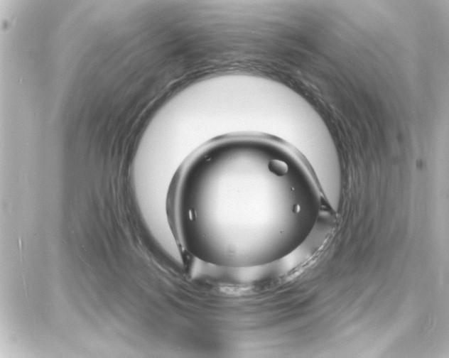 X0000087680172200705251653