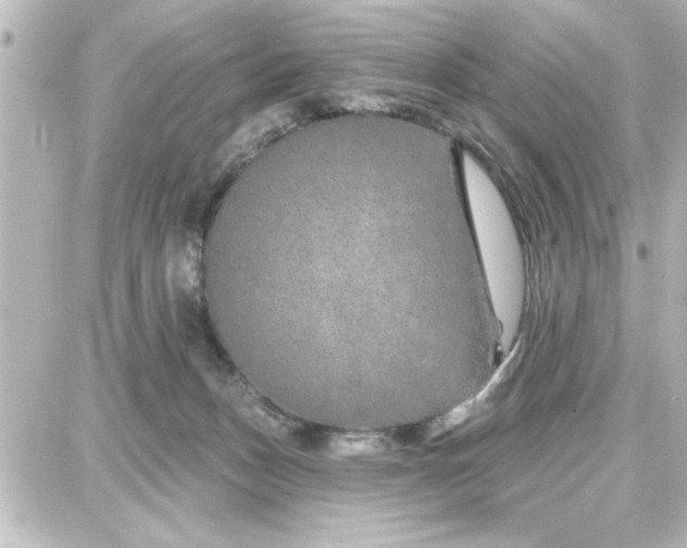 X0000087680175200705251653