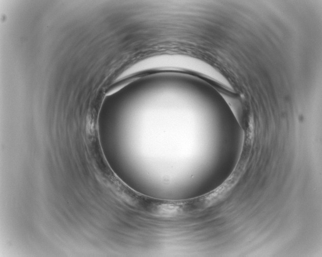 X0000087680176200705251653