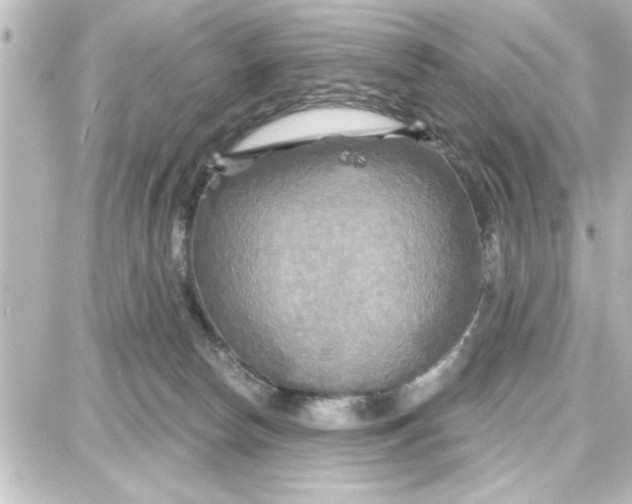 X0000087680178200705251653