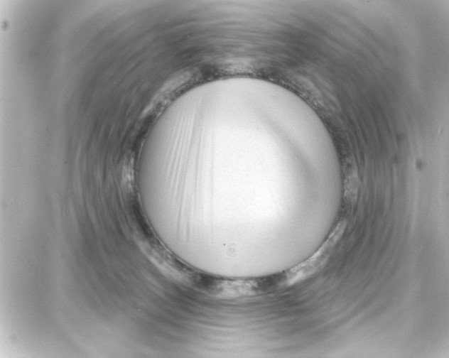 X0000087680179200705251653