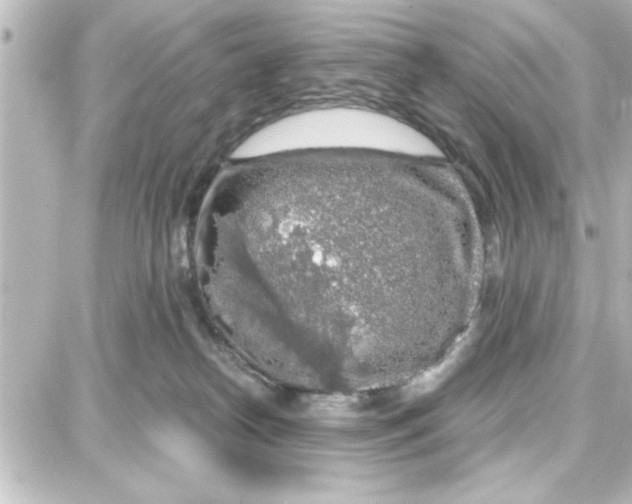 X0000087680182200705251653