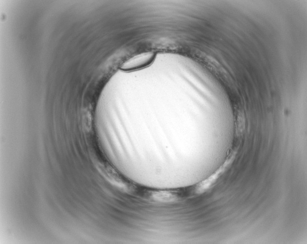 X0000087680183200705251653