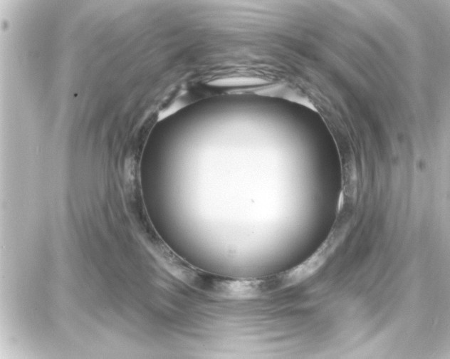 X0000087680184200705251653