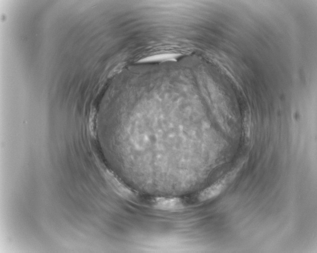 X0000087680185200705251653