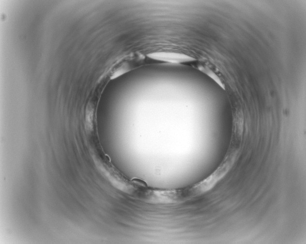 X0000087680188200705251653