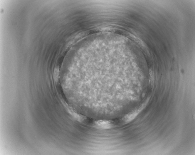 X0000087680189200705251653