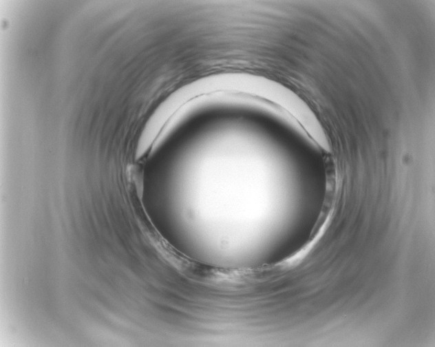 X0000087680190200705251653