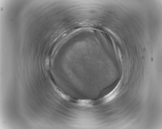 X0000087680192200705251653