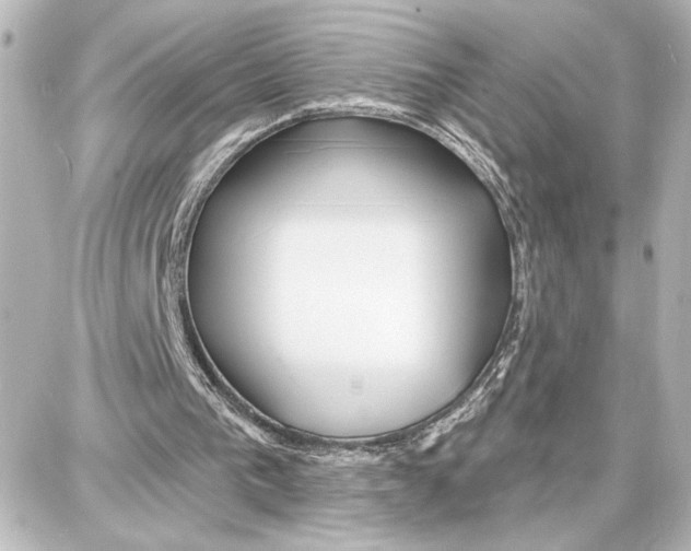 X0000087680193200705251652