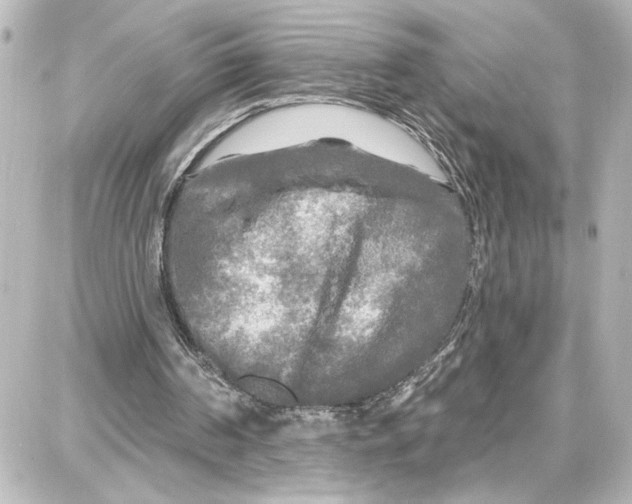 X0000087680194200705251652