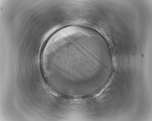 X0000087680196200705251652