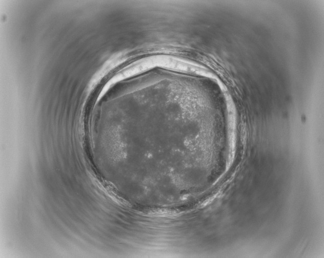 X0000087680198200705251652