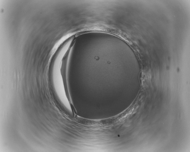 X0000087680200200705251652