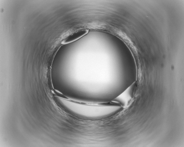 X0000087680201200705251652