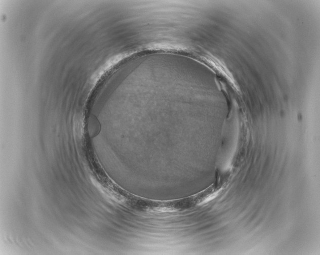 X0000087680204200705251652