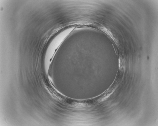 X0000087680205200705251652