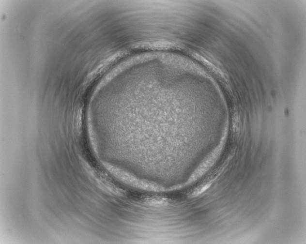 X0000087680206200705251652