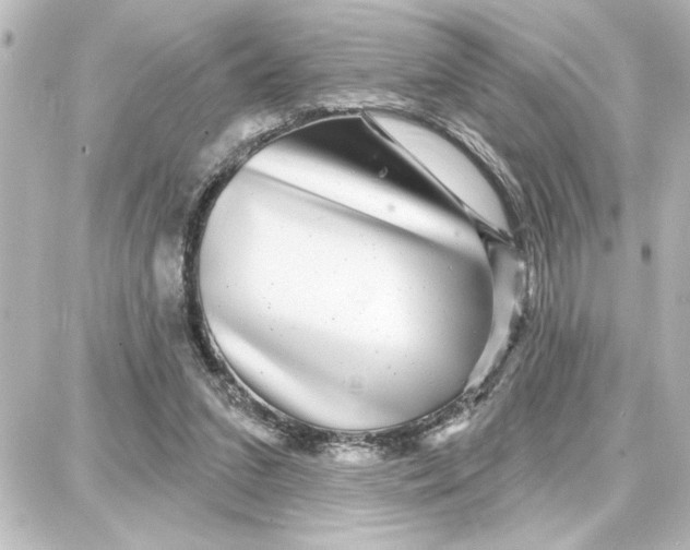 X0000087680207200705251652