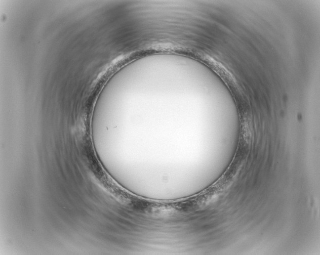 X0000087680208200705251652