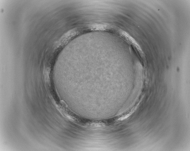 X0000087680209200705251652