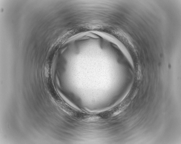 X0000087680210200705251652