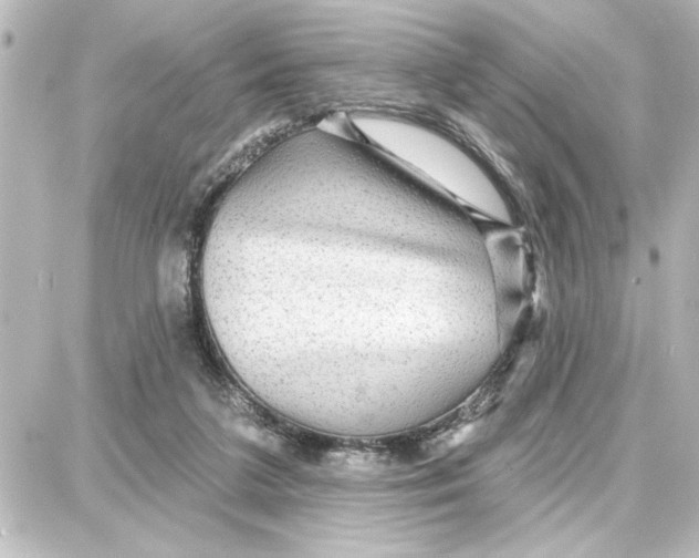 X0000087680211200705251652