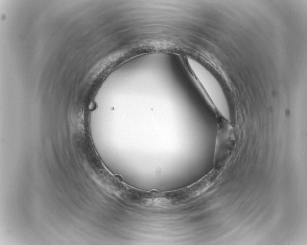 X0000087680212200705251652