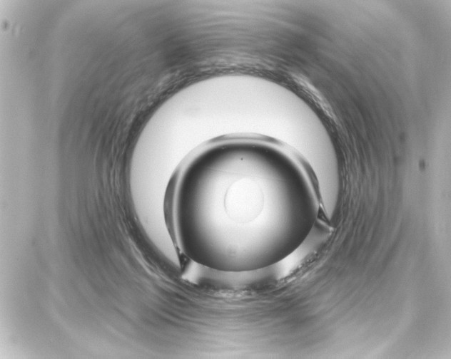 X0000087680213200705251652