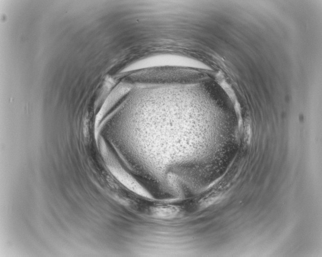 X0000087680215200705251652