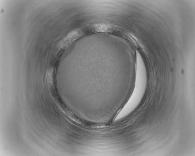 X0000087680217200705251652