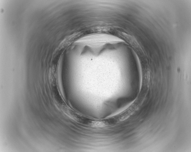 X0000087680218200705251652