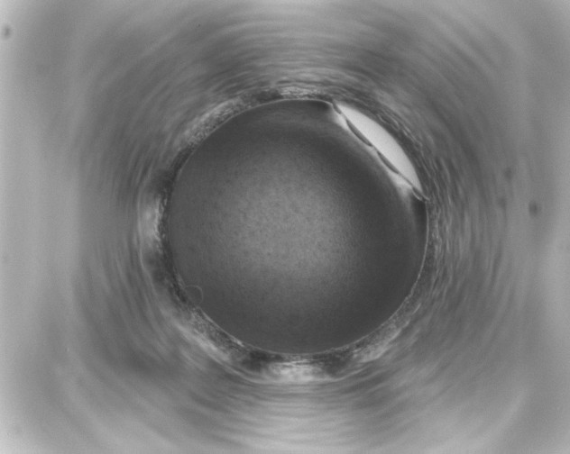 X0000087680219200705251652