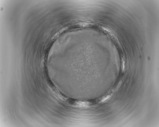 X0000087680221200705251652