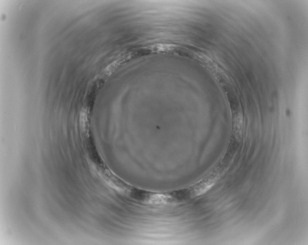 X0000087680222200705251652