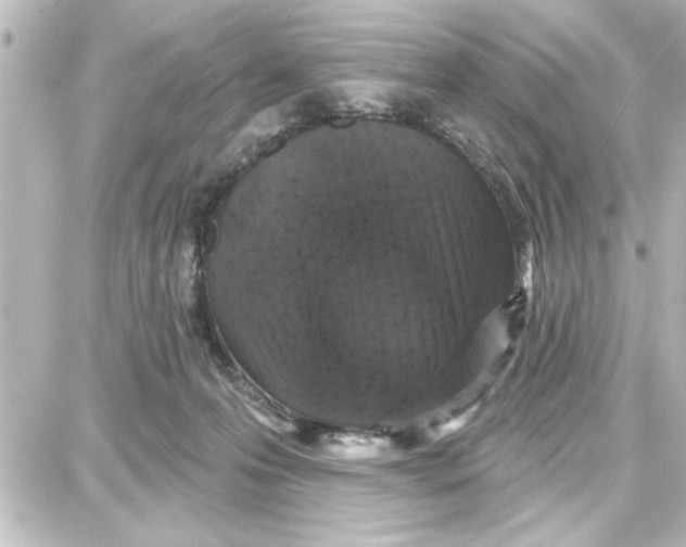 X0000087680223200705251652