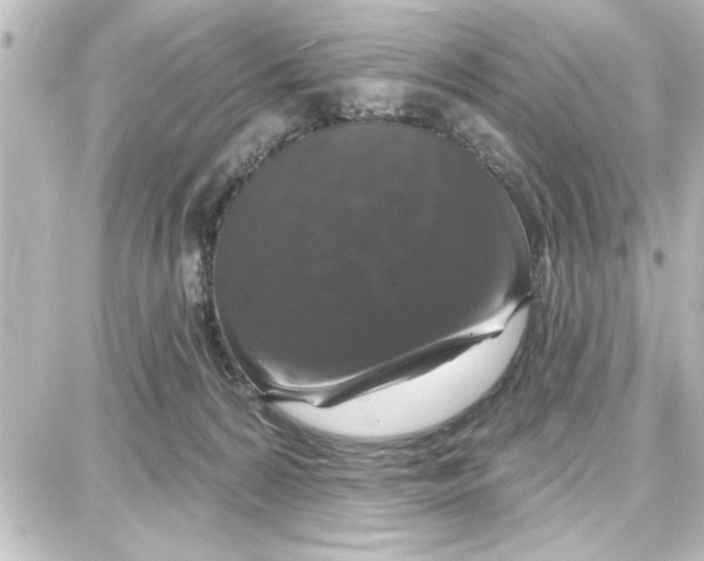 X0000087680224200705251652