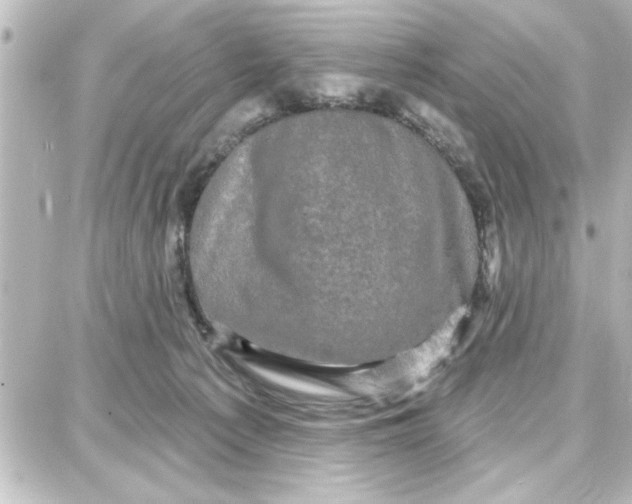 X0000087680225200705251652