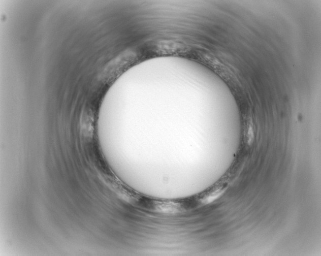 X0000087680226200705251652