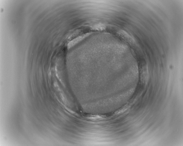 X0000087680229200705251652