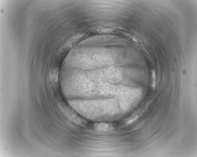 X0000087680230200705251651