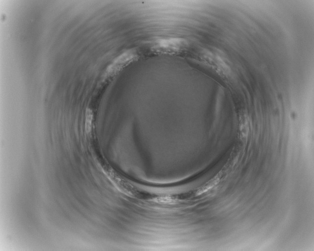 X0000087680231200705251651