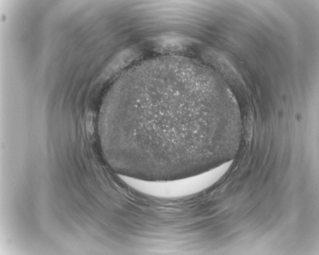 X0000087680232200705251651