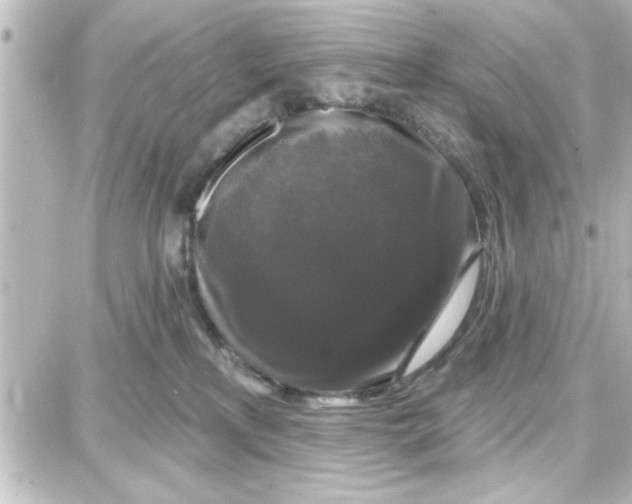 X0000087680233200705251651