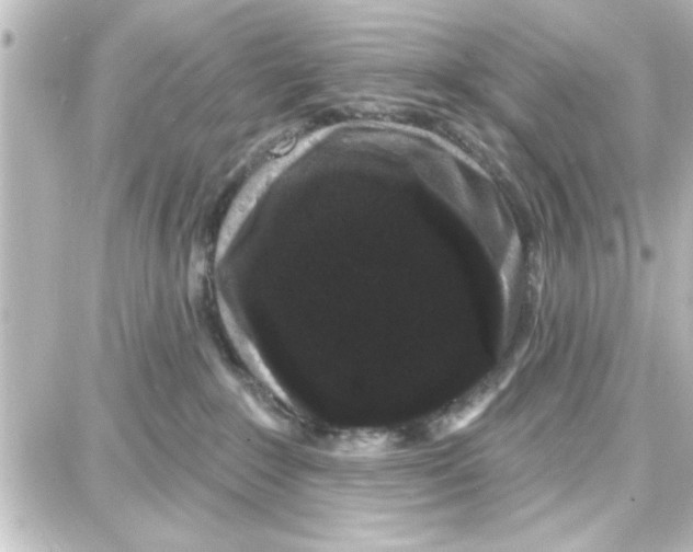 X0000087680235200705251651