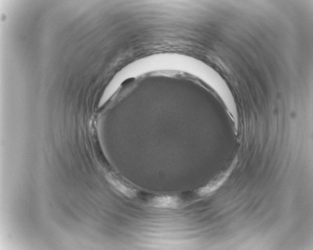 X0000087680237200705251651