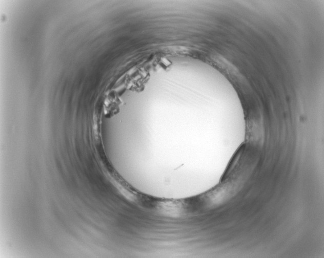 X0000087680238200705251651