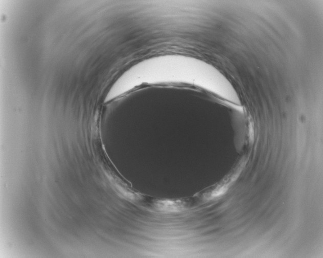 X0000087680239200705251651