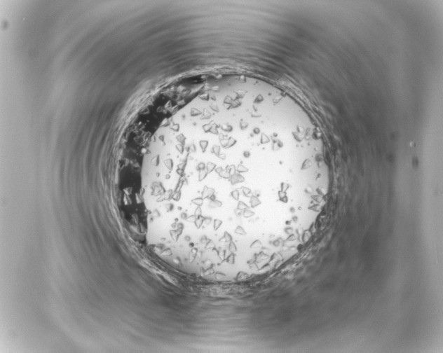 X0000087680241200705251651