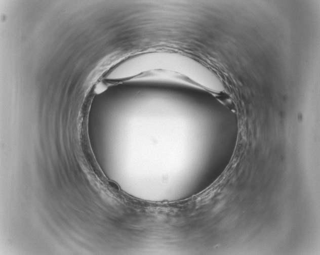 X0000087680242200705251651